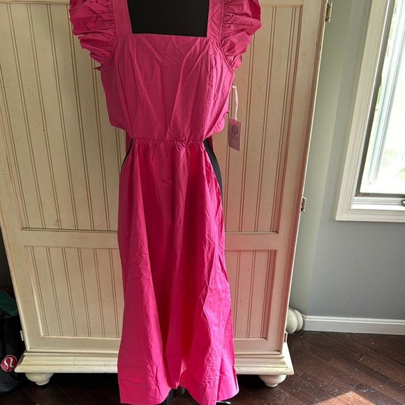 HYACINTH House From Tuckernuck NWT Pink Ruffle Sleeve Tie Back Bow Dress - Picture 2 of 15
